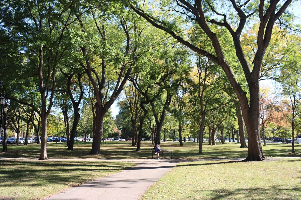 Tree-lined Palmer Square Park on Chicago's boulevard system
