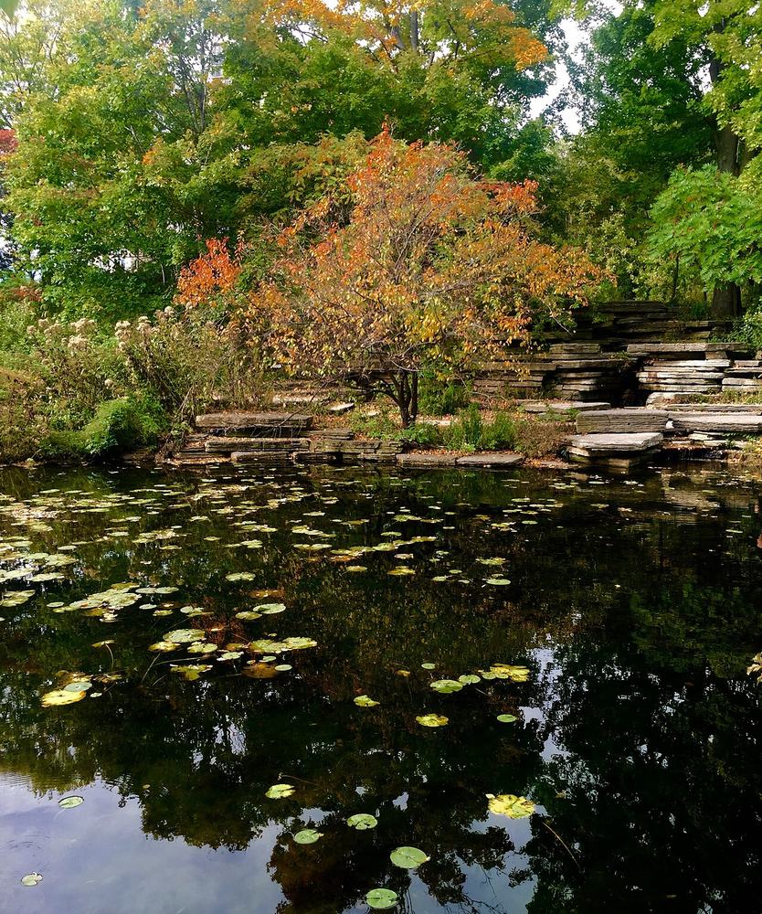 Stone ledges and still water at the Alfred Caldwell Lily Pool