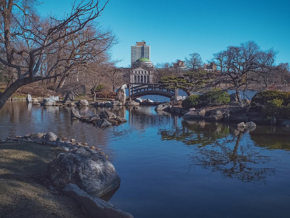 The Japanese garden of the Phoenix in Jackson Park with its moon bridge
