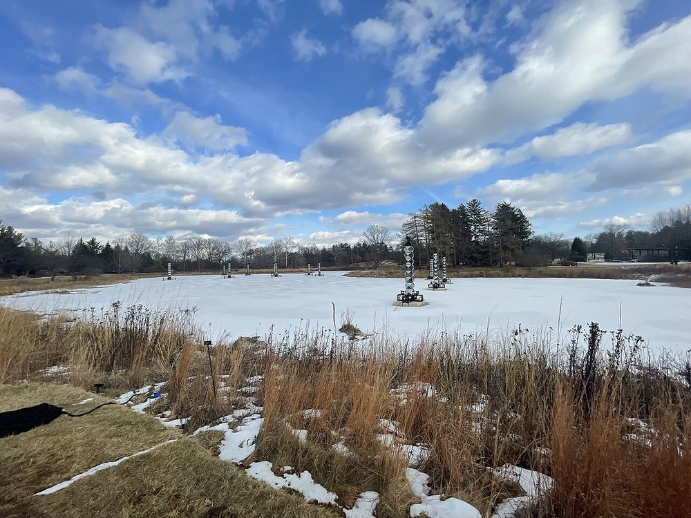 Meadow Lake at the Morton Arboretum in winter