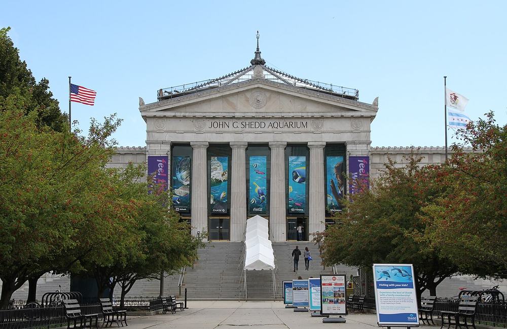 The Shedd Aquarium on the lakefront