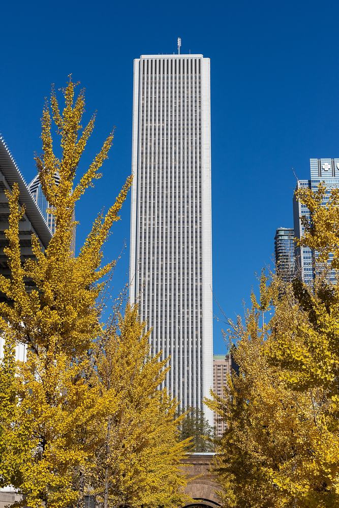 The white granite Aon Center standing over Millennium Park